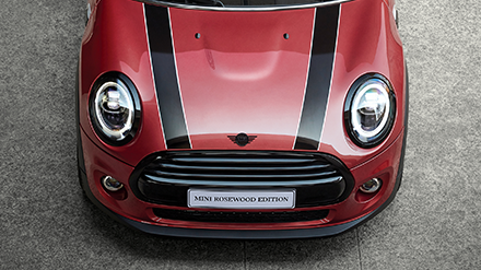 MINI ROSEWOOD EDITION – BONNET STRIPES